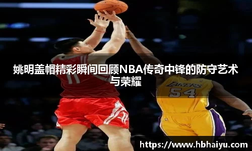 姚明盖帽精彩瞬间回顾NBA传奇中锋的防守艺术与荣耀