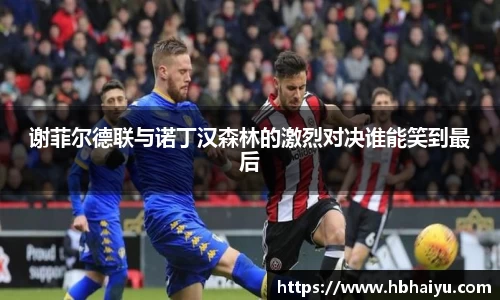 谢菲尔德联与诺丁汉森林的激烈对决谁能笑到最后